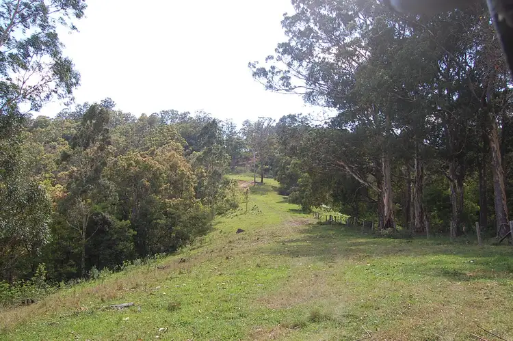 Sixth view of Homely rural property listing, Lot 80 Duck Creek Road, Old Bonalbo NSW 2469