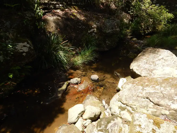 Seventh view of Homely rural property listing, Lot 80 Duck Creek Road, Old Bonalbo NSW 2469