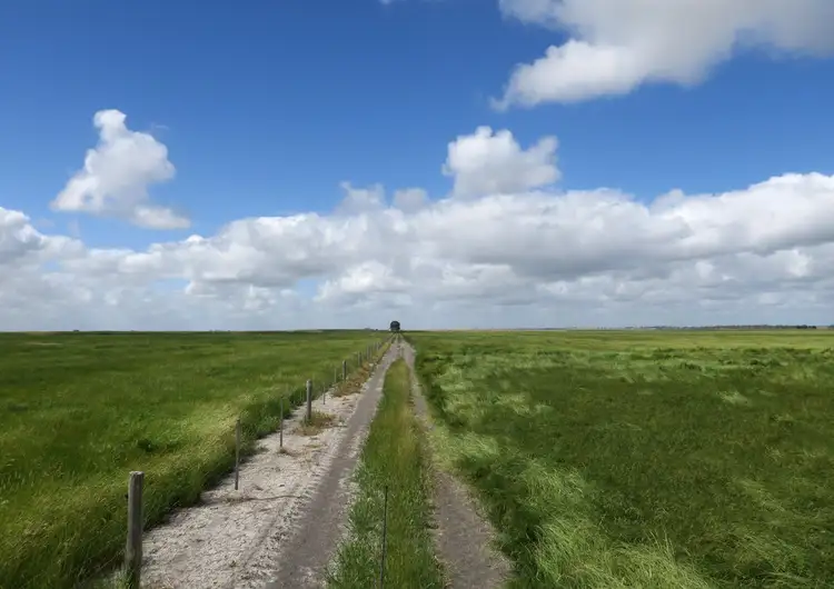 Second view of Homely rural property listing, 1078 Wardles Road, Naracoorte SA 5271