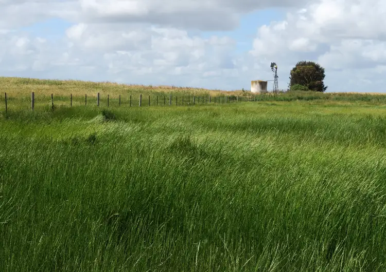 Seventh view of Homely rural property listing, 1078 Wardles Road, Naracoorte SA 5271