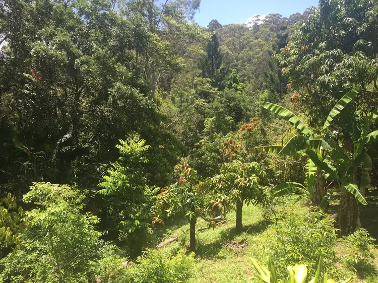 Third view of Homely land listing, 152B Jack Smiths Rd, Brays Creek NSW 2484