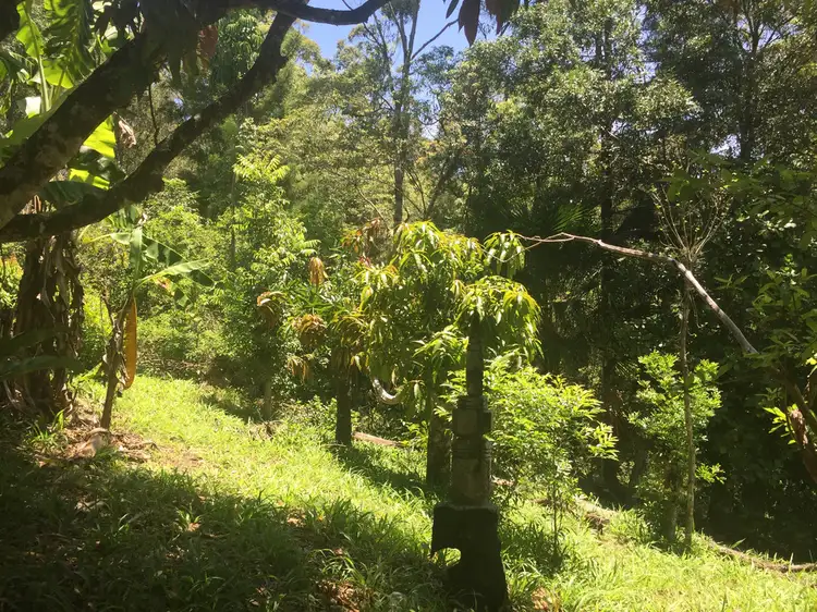 Fourth view of Homely land listing, 152B Jack Smiths Rd, Brays Creek NSW 2484