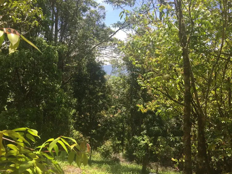 Sixth view of Homely land listing, 152B Jack Smiths Rd, Brays Creek NSW 2484