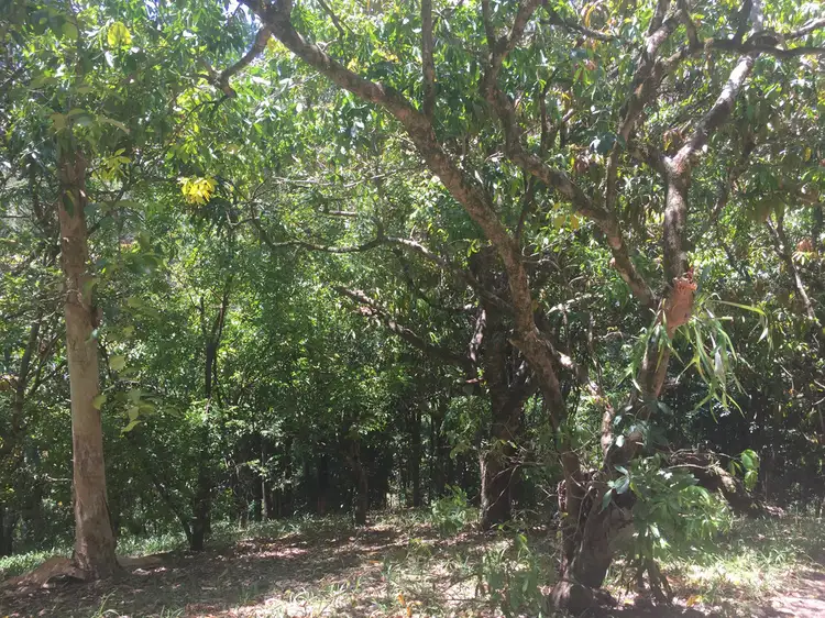 Seventh view of Homely land listing, 152B Jack Smiths Rd, Brays Creek NSW 2484