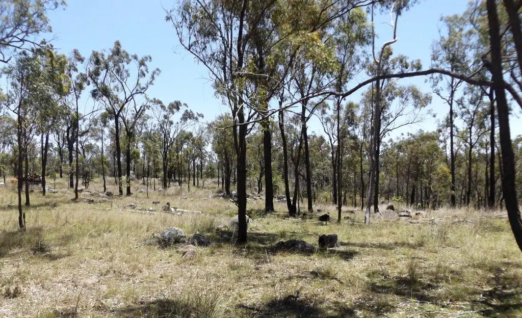 Main view of Homely land listing, 78 Giblin Road, Wilkesdale QLD 4608