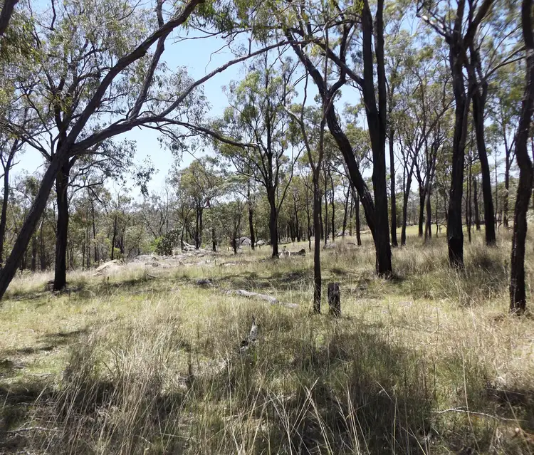 Third view of Homely land listing, 78 Giblin Road, Wilkesdale QLD 4608