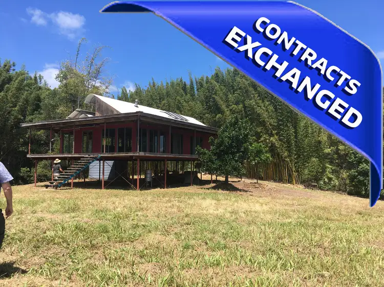 Main view of Homely house listing, 3951 Kyogle Road, Nimbin NSW 2480