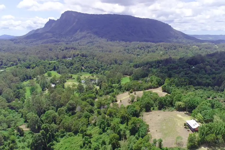 Seventh view of Homely house listing, 3951 Kyogle Road, Nimbin NSW 2480