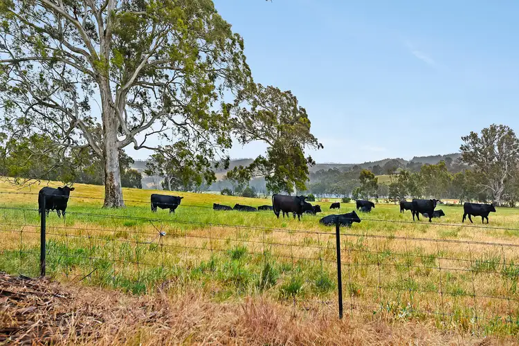 Fifth view of Homely rural property listing, 125 Liebelt Road, Echunga SA 5153