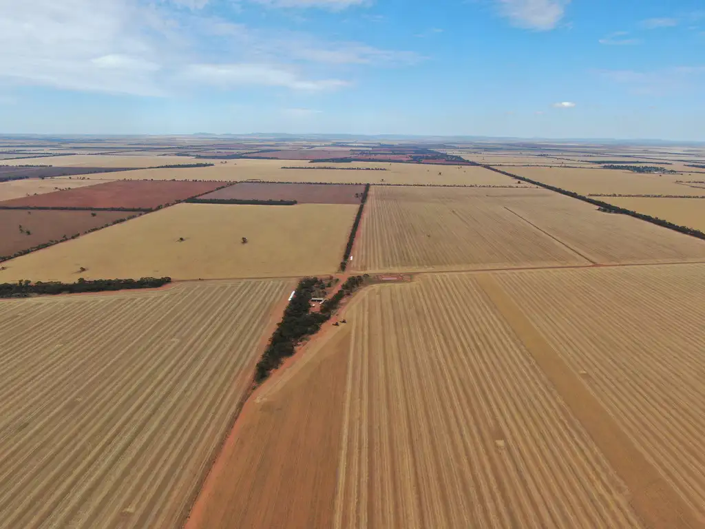 Main view of Homely rural property listing, 231 Trembaths Lane, Barellan NSW 2665