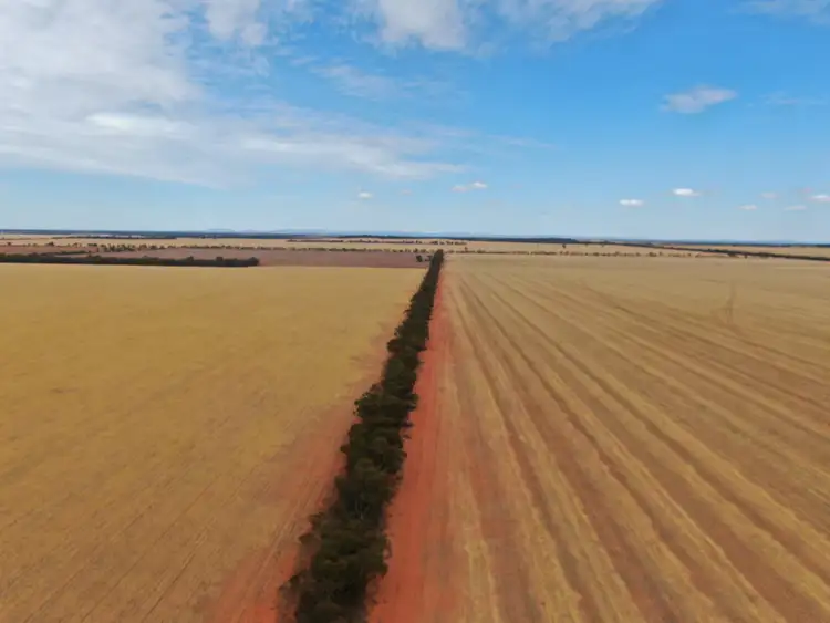 Third view of Homely rural property listing, 231 Trembaths Lane, Barellan NSW 2665