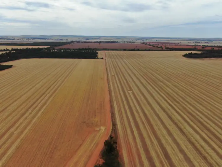 Fifth view of Homely rural property listing, 231 Trembaths Lane, Barellan NSW 2665