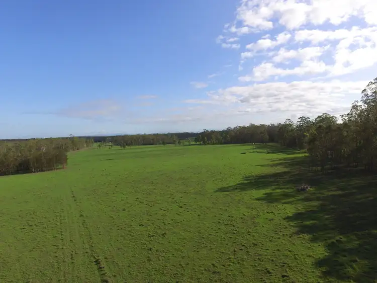 Main view of Homely rural property listing, Lot 11 Ellangowan-Myrtle Creek Road, Ellangowan NSW 2470