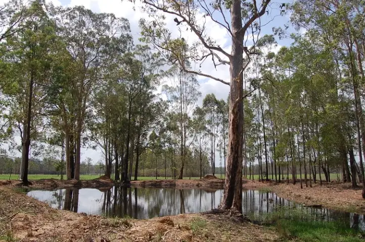 Fourth view of Homely rural property listing, Lot 11 Ellangowan-Myrtle Creek Road, Ellangowan NSW 2470