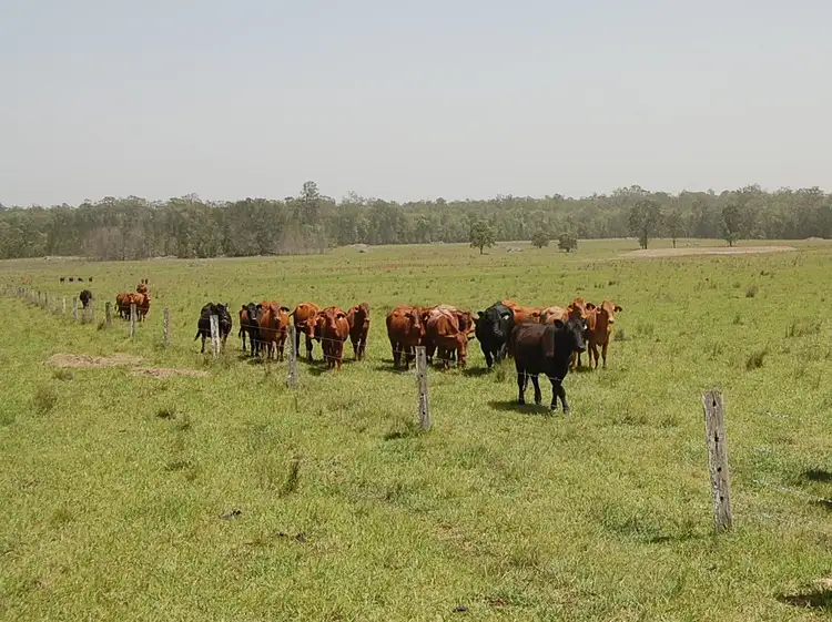 Fifth view of Homely rural property listing, Lot 11 Ellangowan-Myrtle Creek Road, Ellangowan NSW 2470