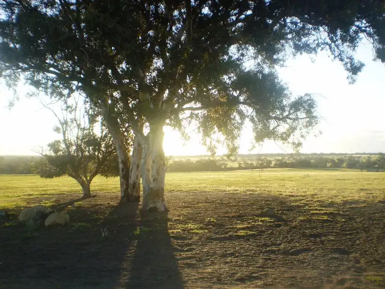 Lot 102 Hodgson Road, Tambellup WA 6320
