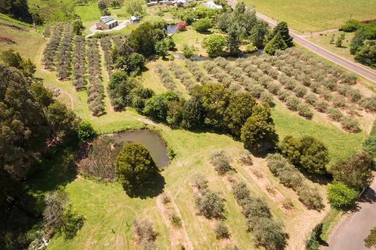 Main view of Homely rural property listing, 574 Castra Road, Abbotsham TAS 7315