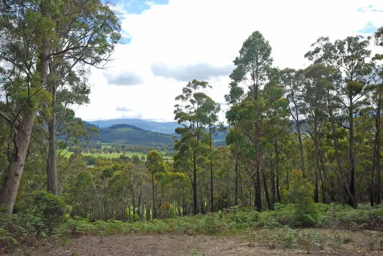 Fifth view of Homely land listing, Lot 1 Lower Swamp Road, Lachlan TAS 7140