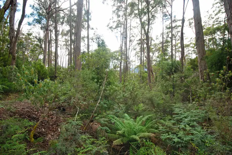 Sixth view of Homely land listing, Lot 1 Lower Swamp Road, Lachlan TAS 7140