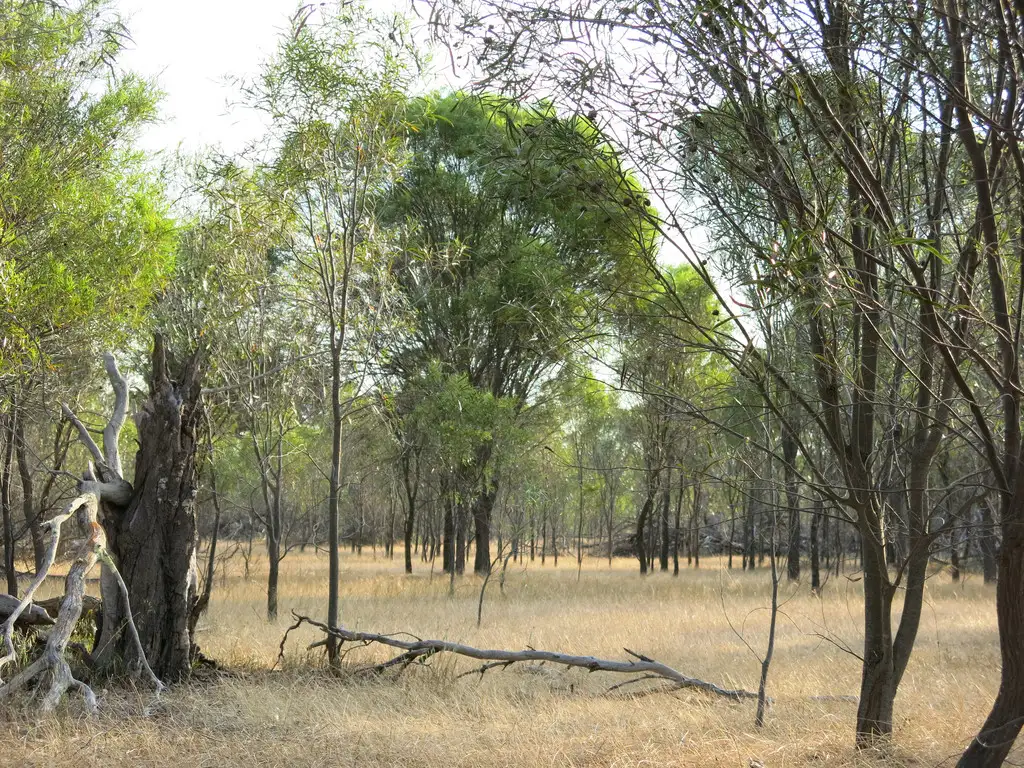 Main view of Homely rural property listing, Address available on request