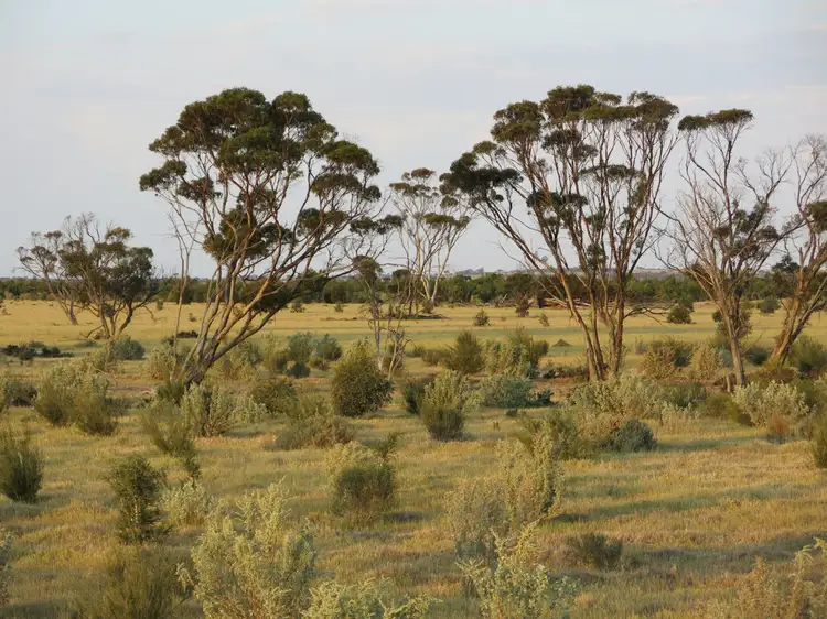 Second view of Homely rural property listing, Address available on request