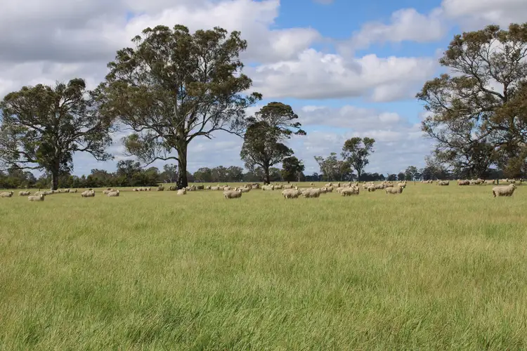 Fourth view of Homely rural property listing, Lot 40 Government Road, Hynam SA 5262