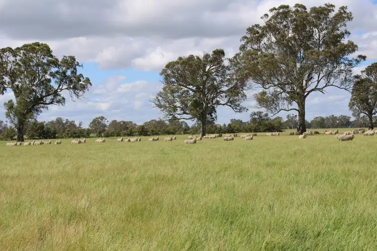 Fifth view of Homely rural property listing, Lot 40 Government Road, Hynam SA 5262