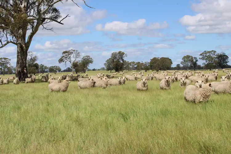 Sixth view of Homely rural property listing, Lot 40 Government Road, Hynam SA 5262