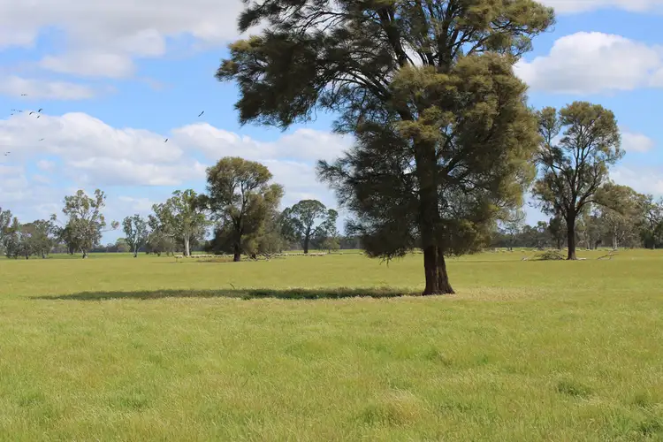 Seventh view of Homely rural property listing, Lot 40 Government Road, Hynam SA 5262