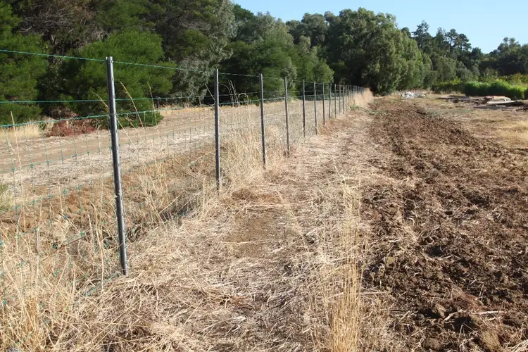 Second view of Homely house listing, 26 McFarlane Road, Waroona WA 6215