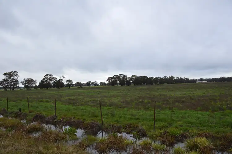 Seventh view of Homely rural property listing, Lot 2 Snelsons Lane, Gulgong NSW 2852