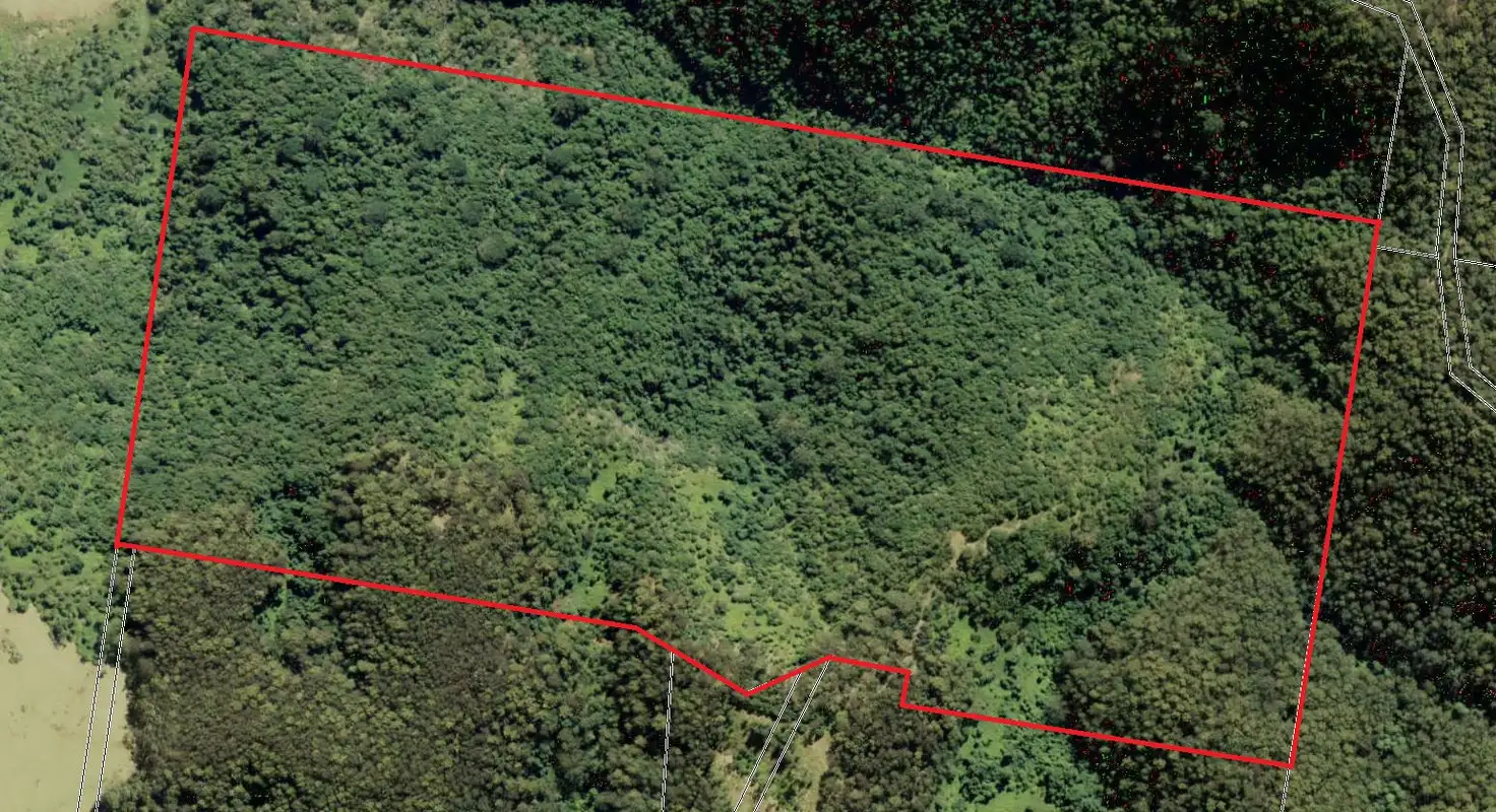Main view of Homely land listing, Lot 160 Ponsfords Road, Ellenborough NSW 2446