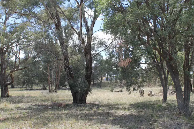 Main view of Homely land listing, 111 ADAMS LEAD ROAD, Gulgong NSW 2852