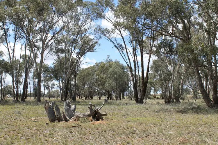 Fifth view of Homely land listing, 111 ADAMS LEAD ROAD, Gulgong NSW 2852