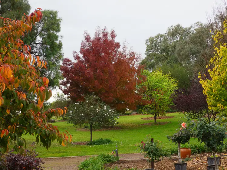 Sixth view of Homely house listing, 93 Back Creek Road, Young NSW 2594