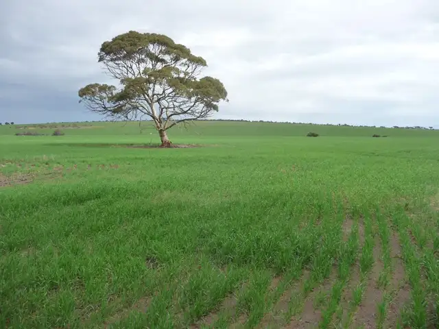 Lot 1 Quairading South Road, Dangin WA 6383