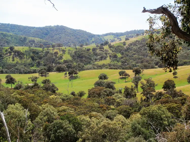 Main view of Homely rural property listing, 690 U.T Creek Road, Alexandra VIC 3714