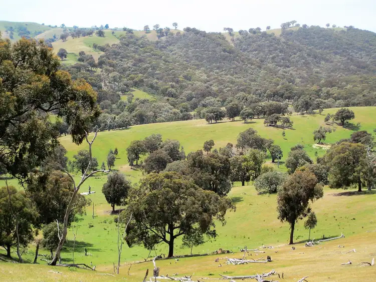 Second view of Homely rural property listing, 690 U.T Creek Road, Alexandra VIC 3714