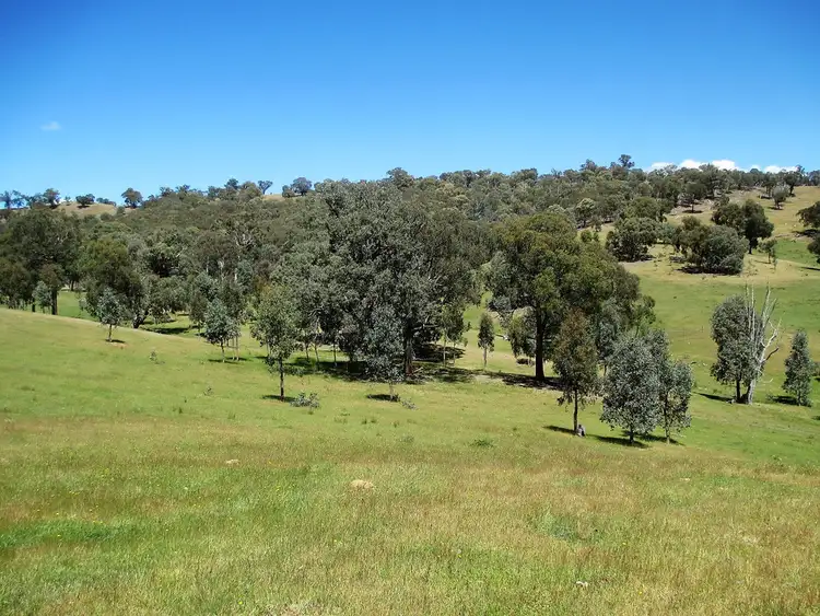 Sixth view of Homely rural property listing, 690 U.T Creek Road, Alexandra VIC 3714