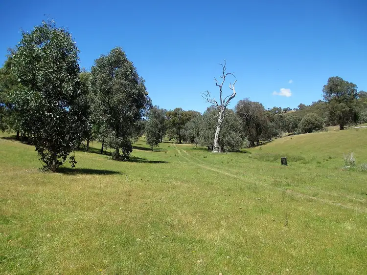 Seventh view of Homely rural property listing, 690 U.T Creek Road, Alexandra VIC 3714