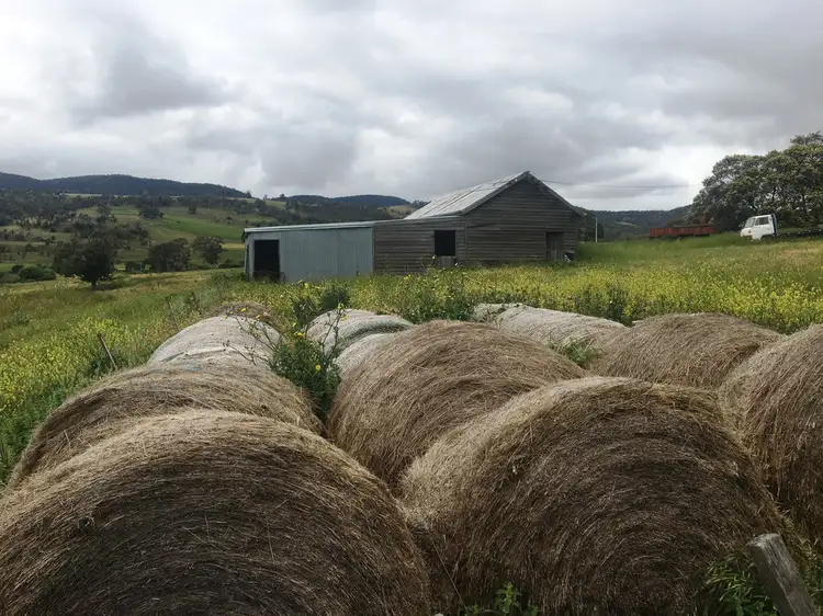 Second view of Homely rural property listing, 157 Weavers Lane, Campania TAS 7026