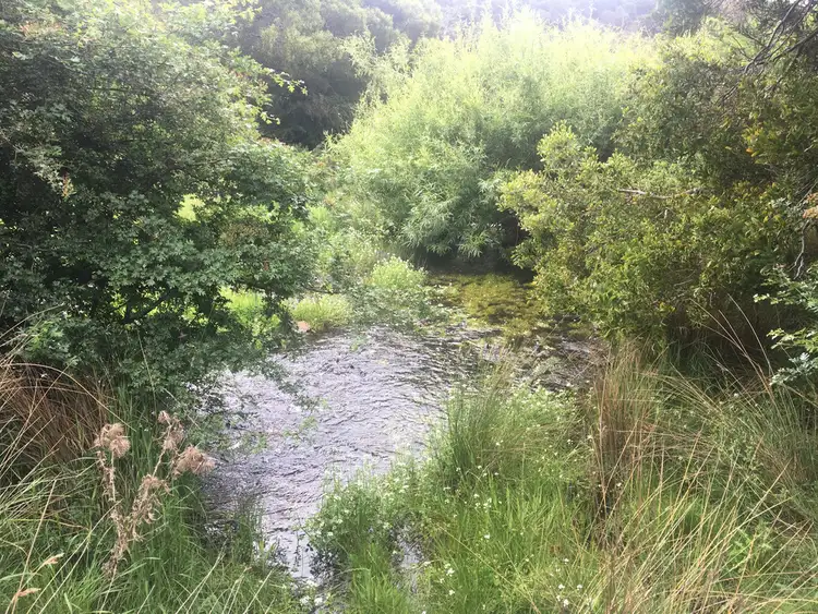 Seventh view of Homely rural property listing, 157 Weavers Lane, Campania TAS 7026