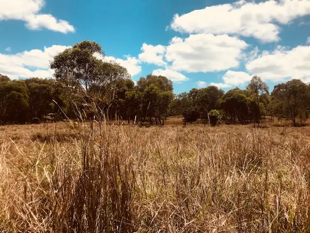 56 Old Walligan Road, Walligan QLD 4655