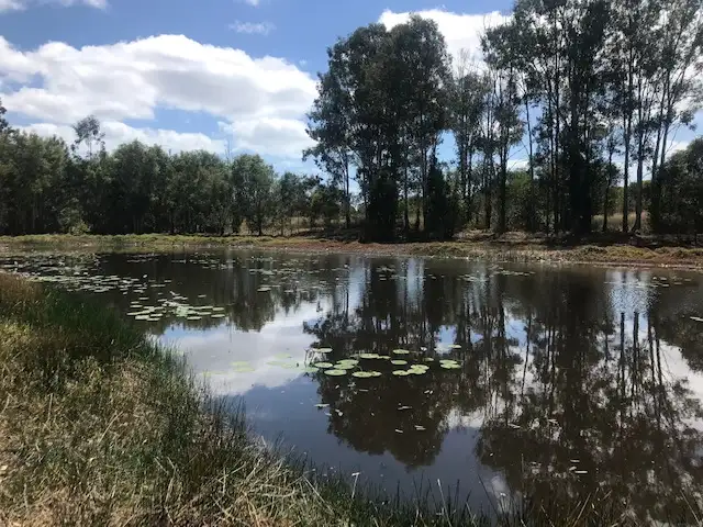 Third view of Homely land listing, 56 Old Walligan Road, Walligan QLD 4655