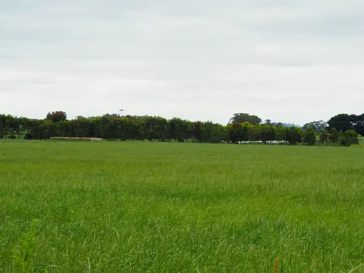 Third view of Homely rural property listing, 95 Fryers Road, Naroghid VIC 3266