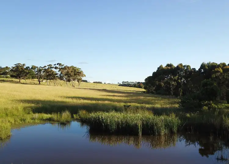 Fourth view of Homely rural property listing, 95 Fryers Road, Naroghid VIC 3266