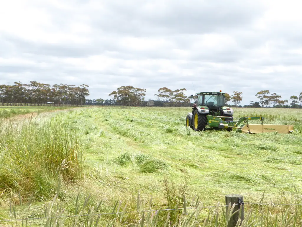 Main view of Homely rural property listing, 5350 Princes Highway, Boorcan VIC 3265
