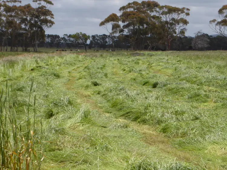Seventh view of Homely rural property listing, 5350 Princes Highway, Boorcan VIC 3265