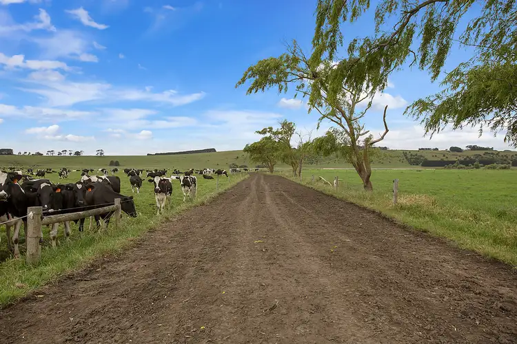 Sixth view of Homely rural property listing, 421 Keayang Road, Dixie VIC 3265