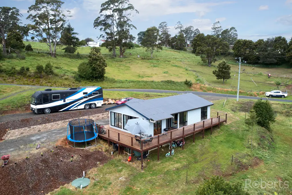 Main view of Homely house listing, 17 Pearce Street, Branxholm TAS 7261